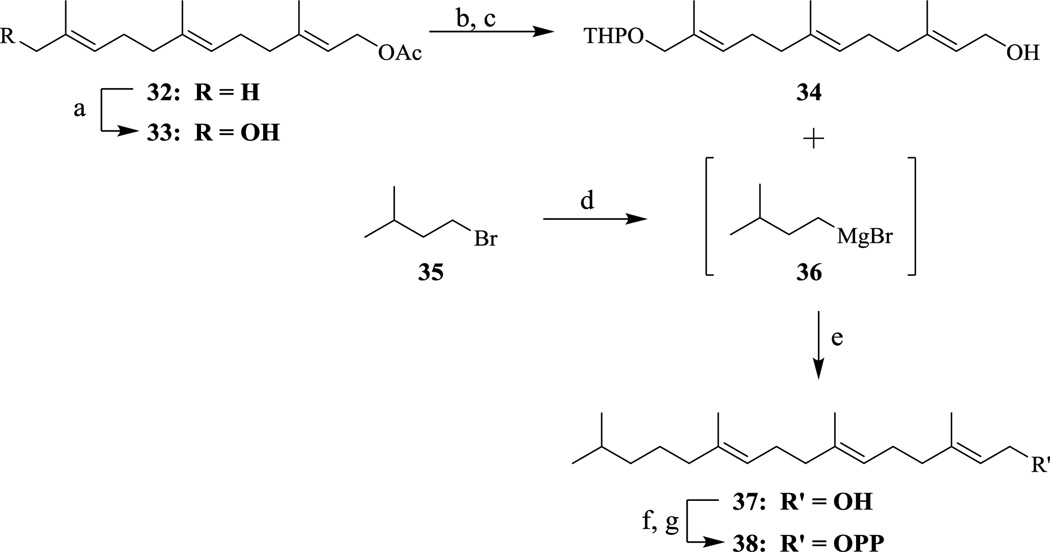 Scheme 5