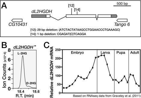 Fig. S6.