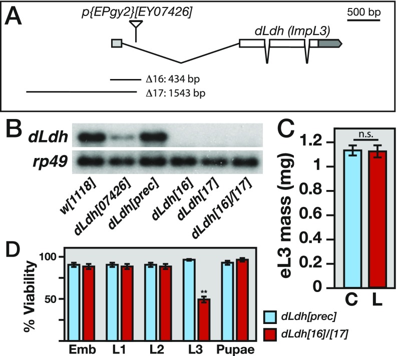 Fig. S3.