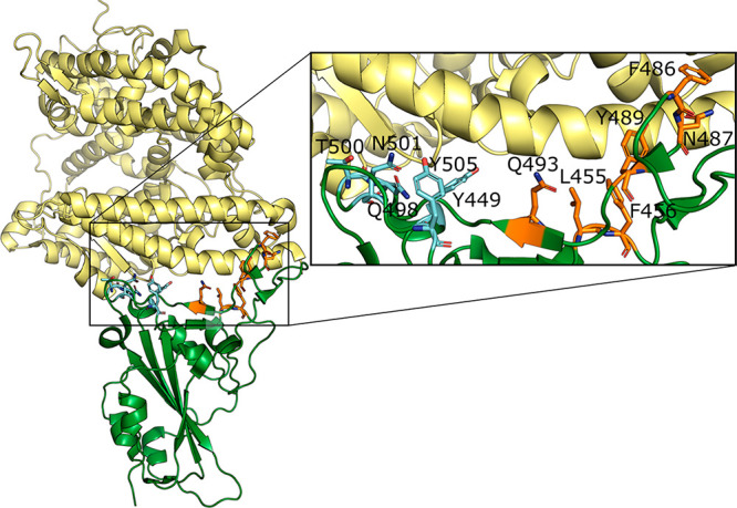 Figure 2