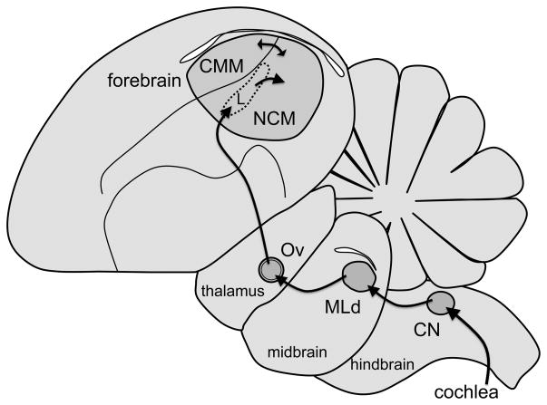 Fig. 2