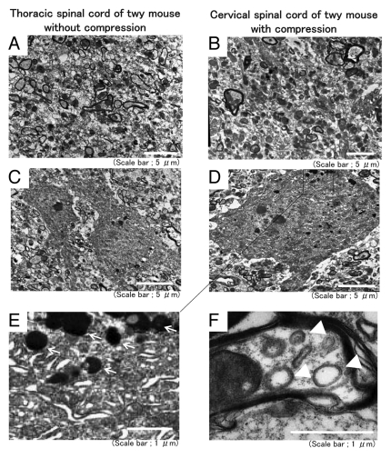 Figure 3.