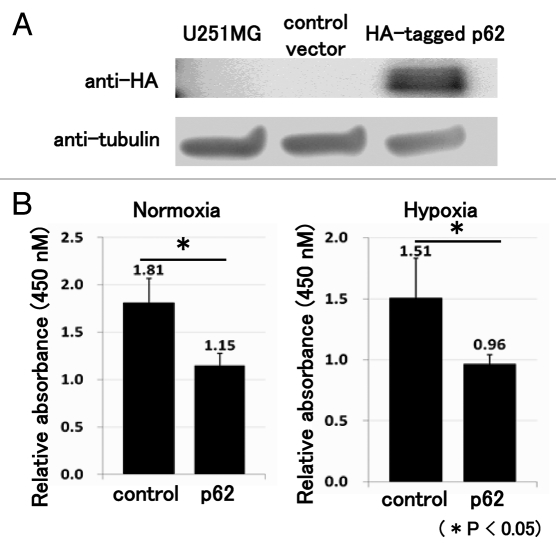 Figure 5.