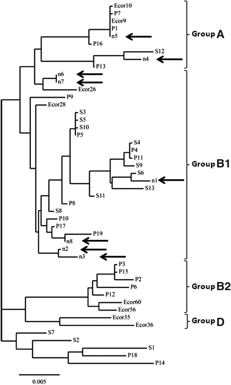 FIG. 1.