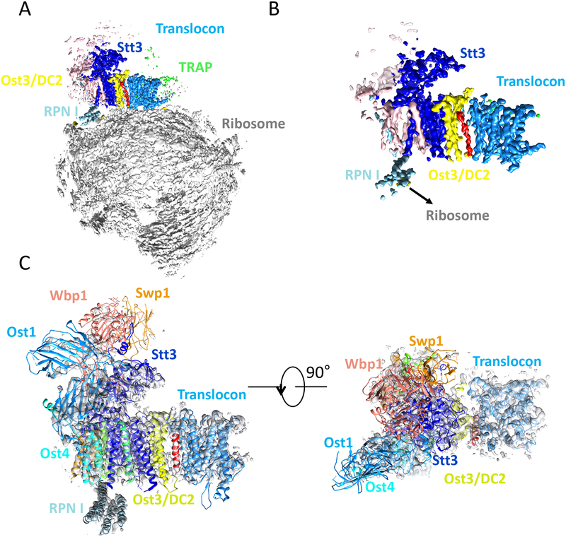 Fig. 4.