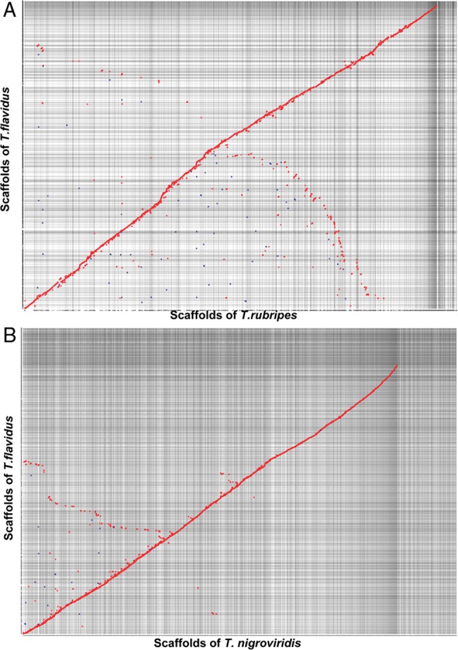 Figure 2.