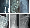 Fig. 7