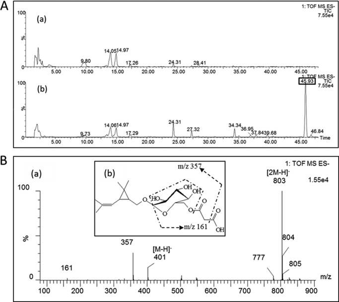 FIGURE 5.