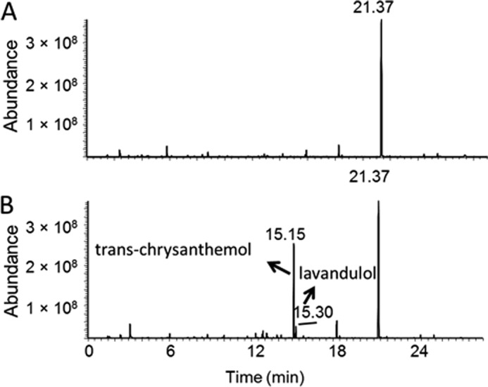 FIGURE 4.