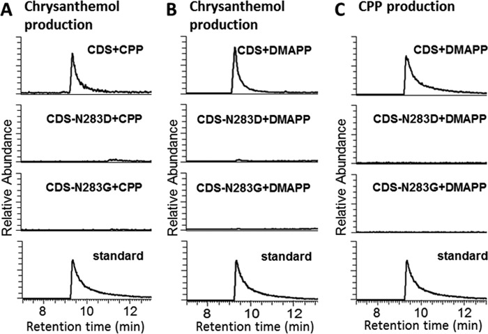 FIGURE 7.