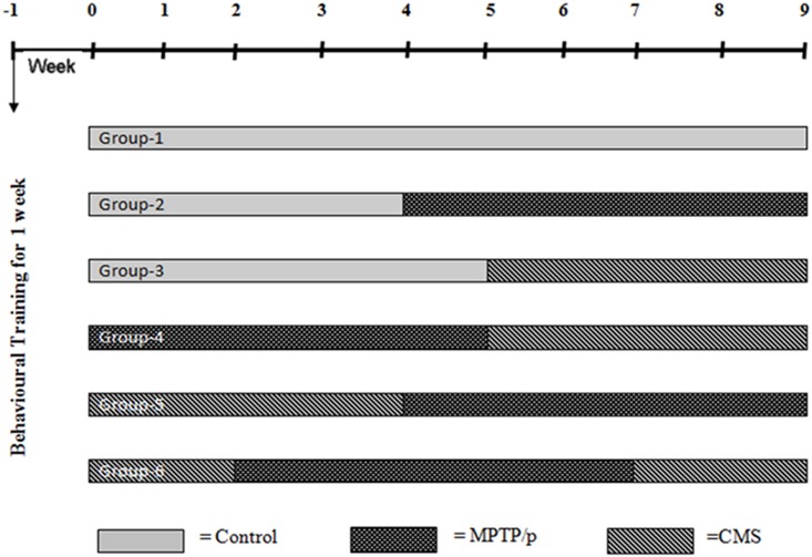 Fig 1