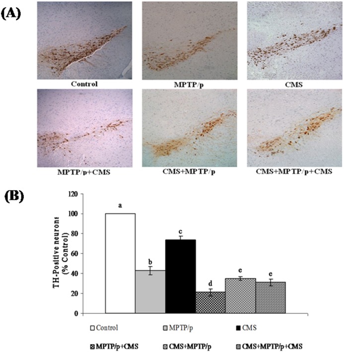 Fig 4