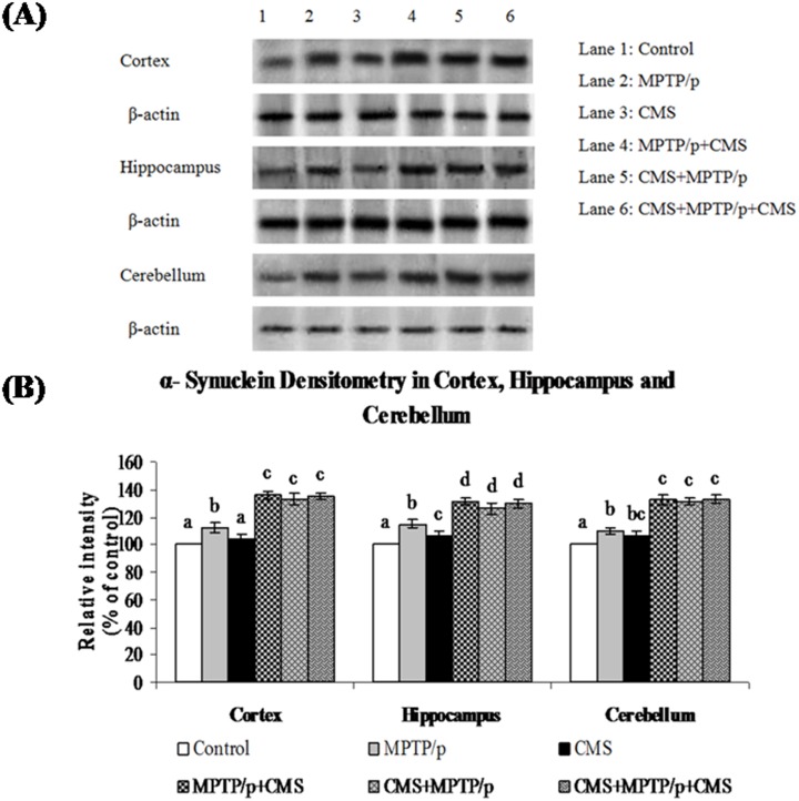 Fig 12