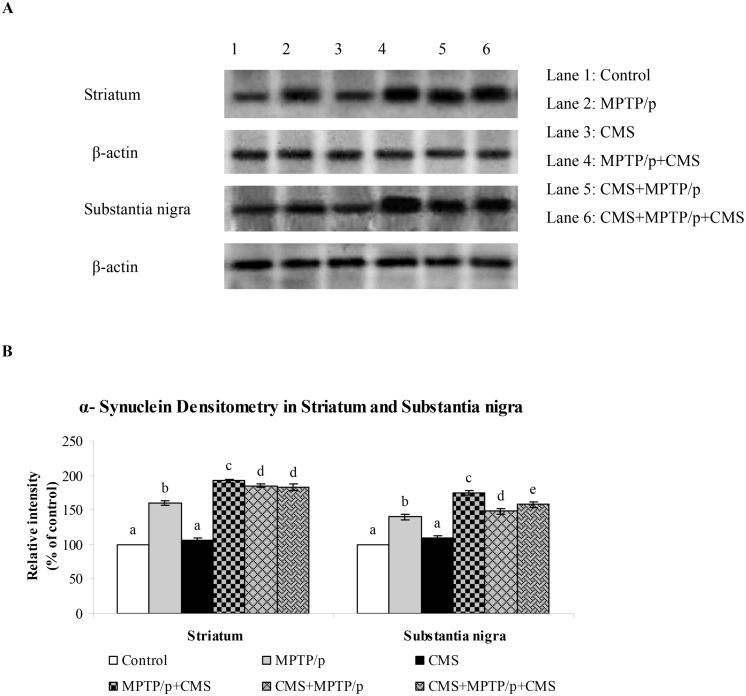 Fig 11