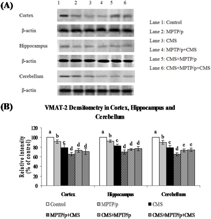 Fig 10