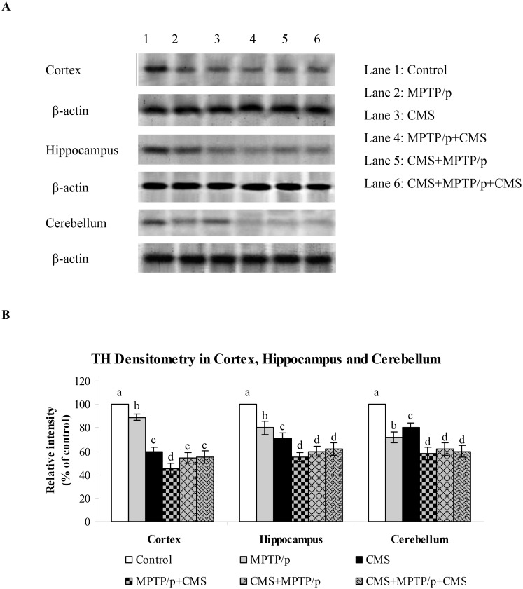 Fig 6