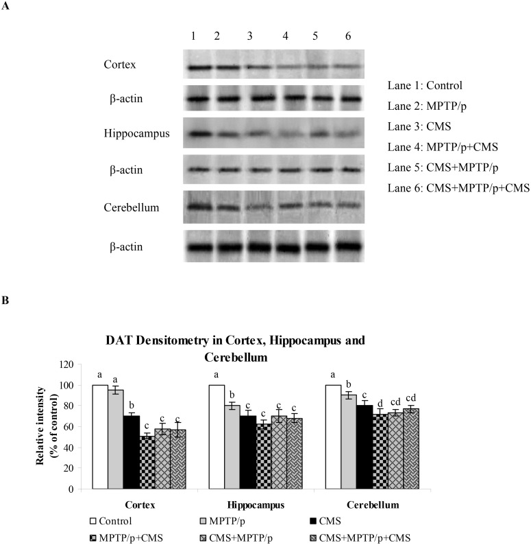 Fig 8