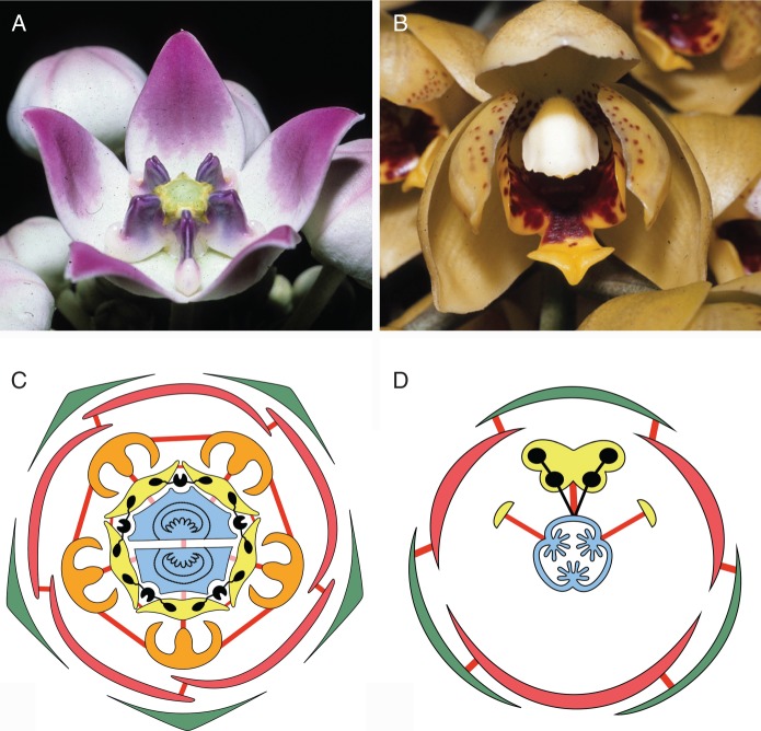 Fig. 2.