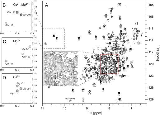 FIGURE 1.