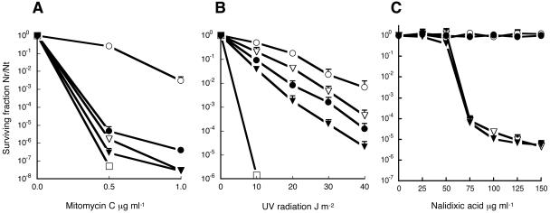 FIG. 2.