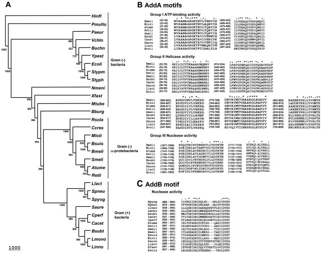 FIG. 1.