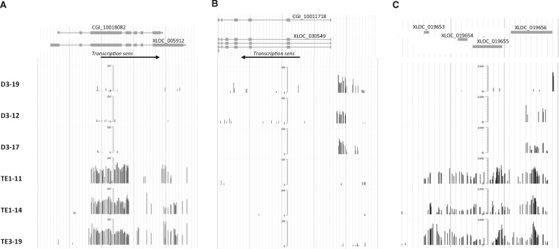 Figure 3: