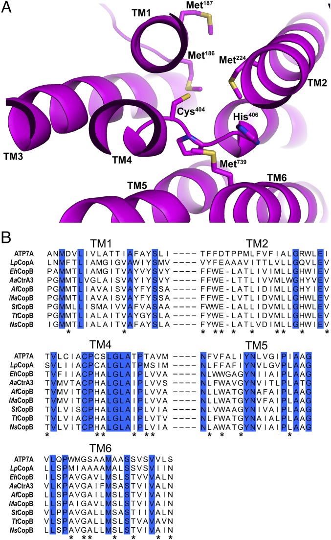 Fig. 4.