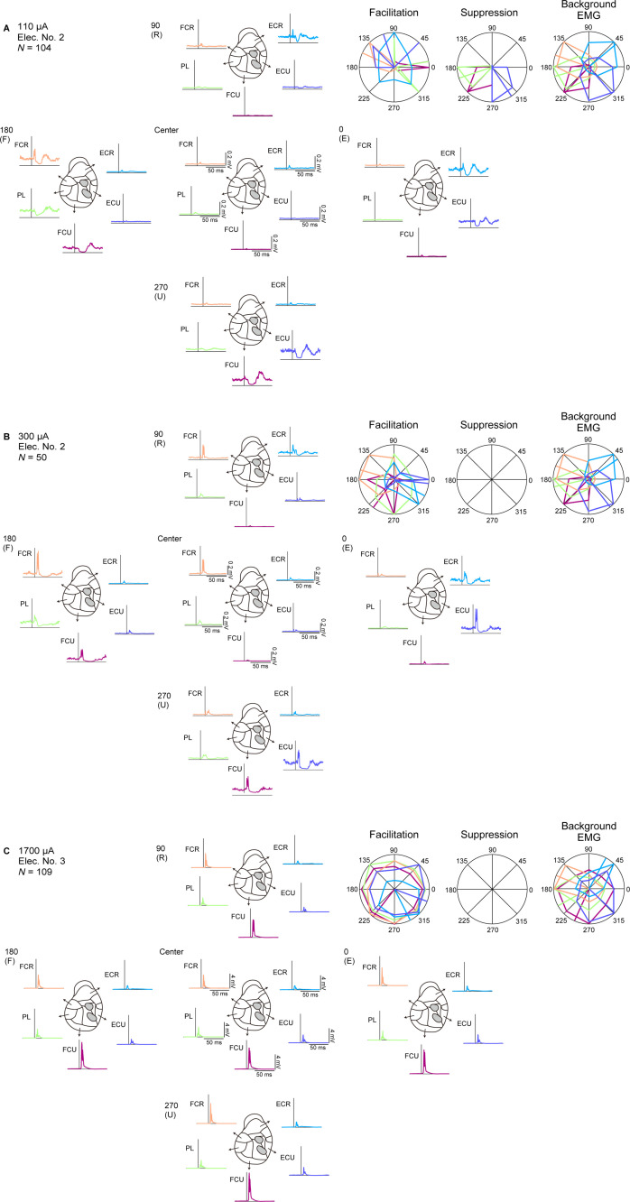 Figure 7—figure supplement 1.