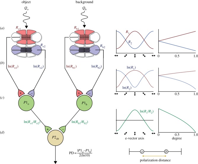 Figure 1.