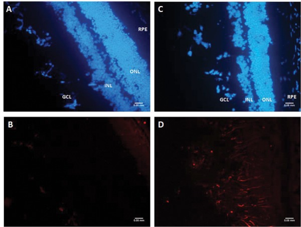 Fig. 4: