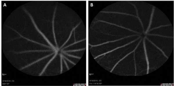 Fig. 3: