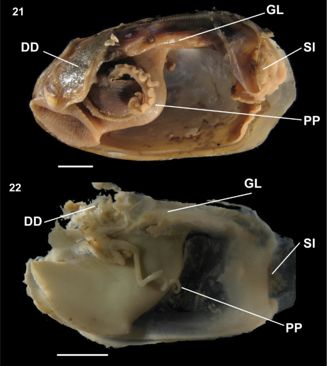 Figure 21–22.