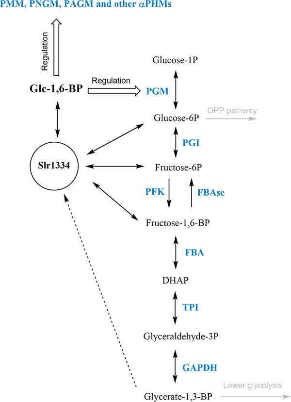 FIG 8