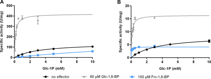 FIG 2