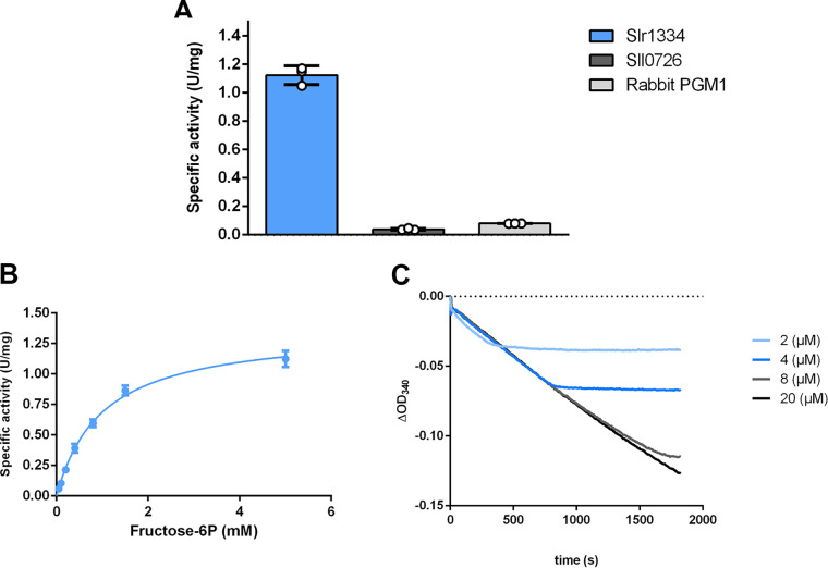 FIG 6