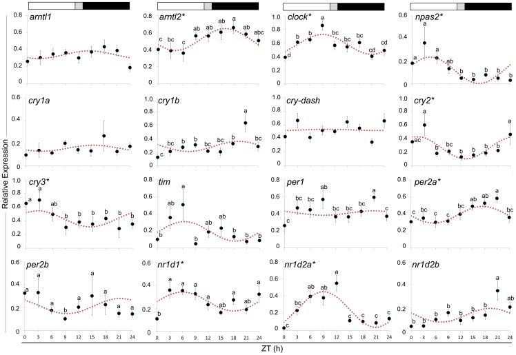 Figure 6