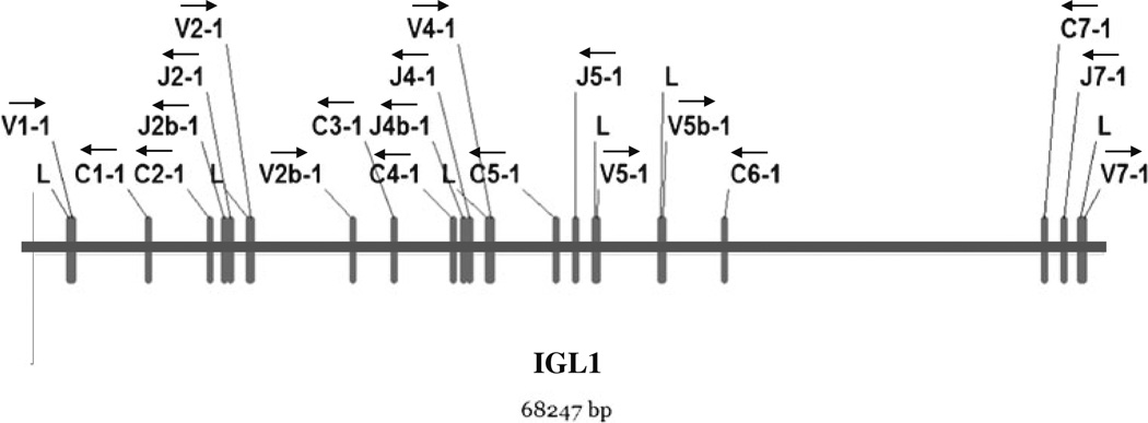 Fig. 2