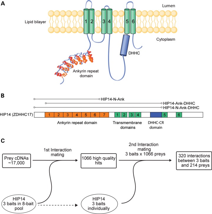 Figure 1.