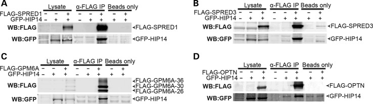 Figure 4.