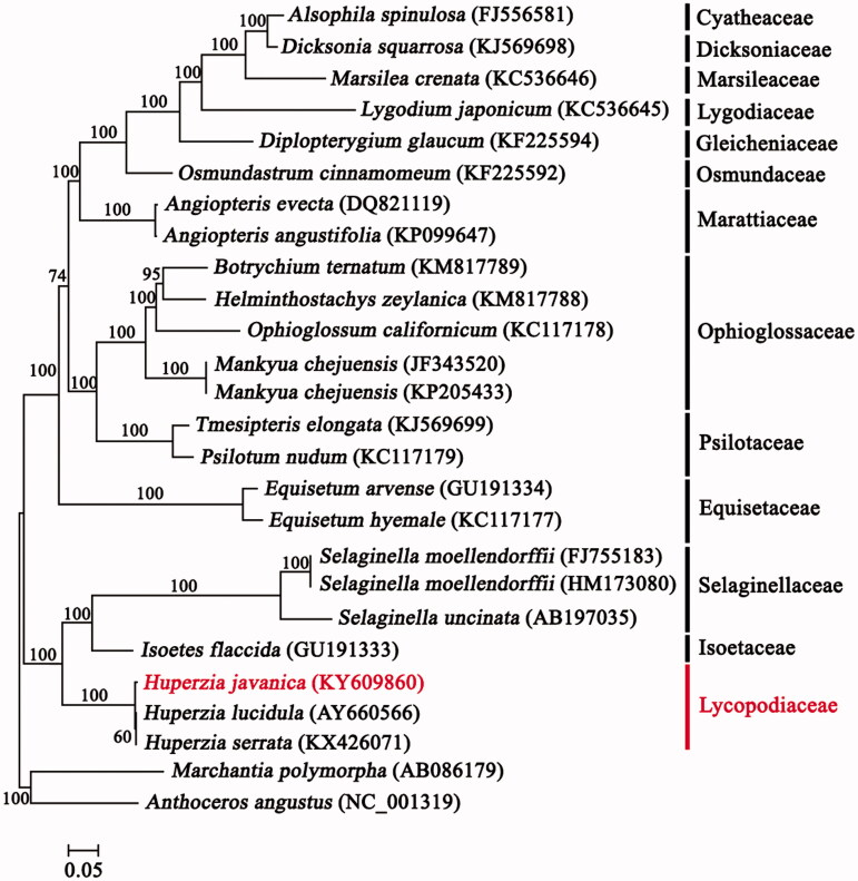 Figure 1.