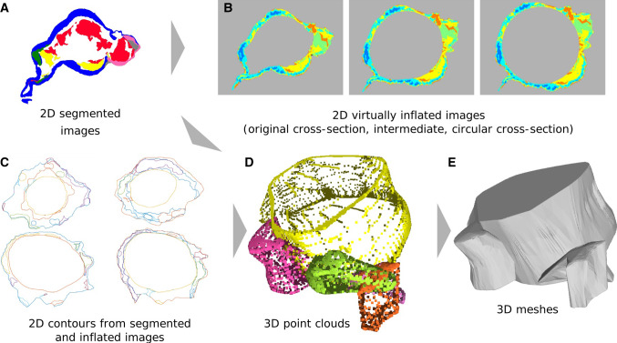 Fig. 6