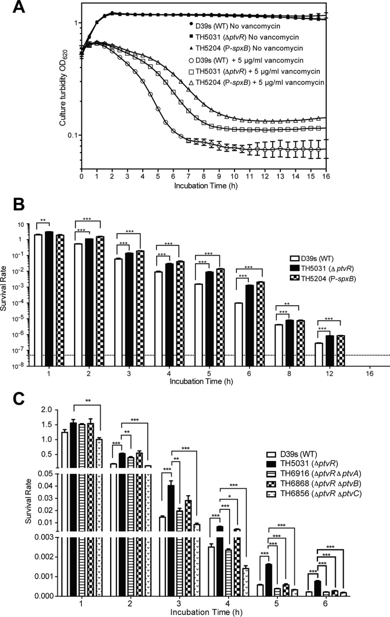 FIG 4