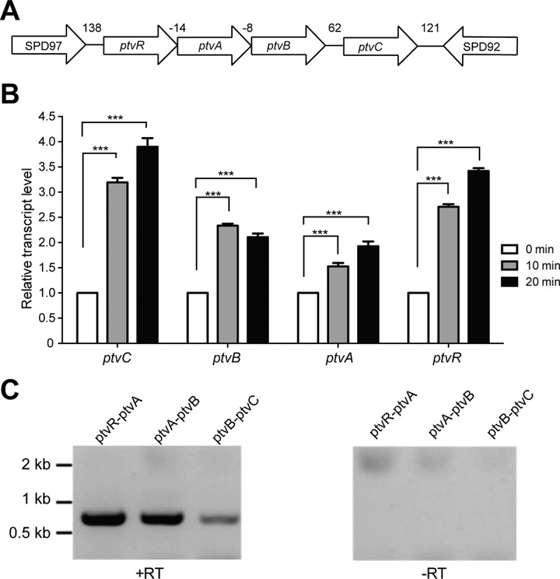 FIG 1