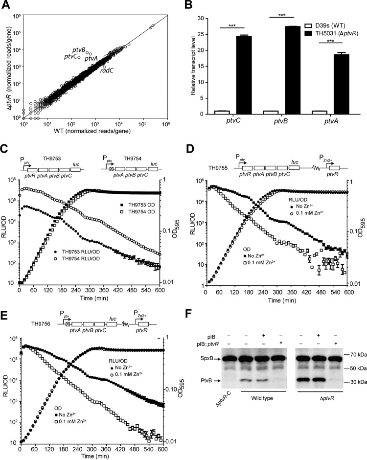 FIG 2