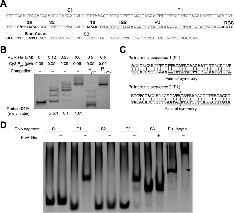 FIG 6