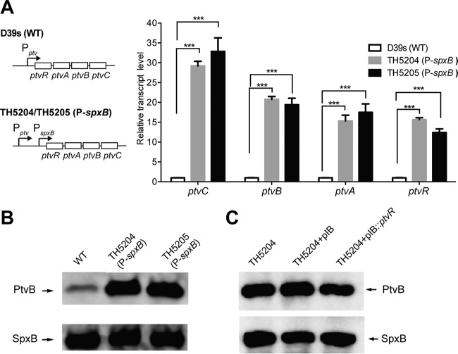 FIG 3