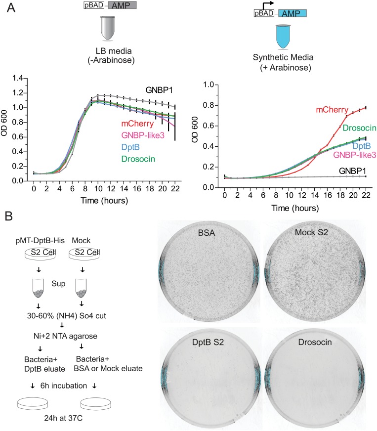 Fig 6