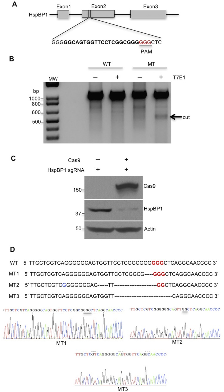 Fig. S6.