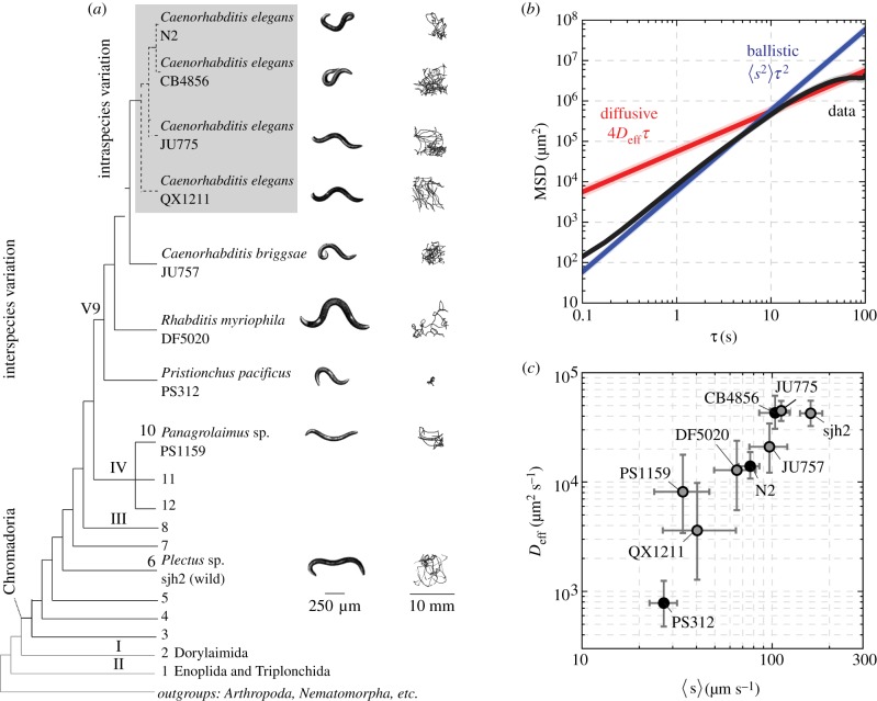 Figure 1.