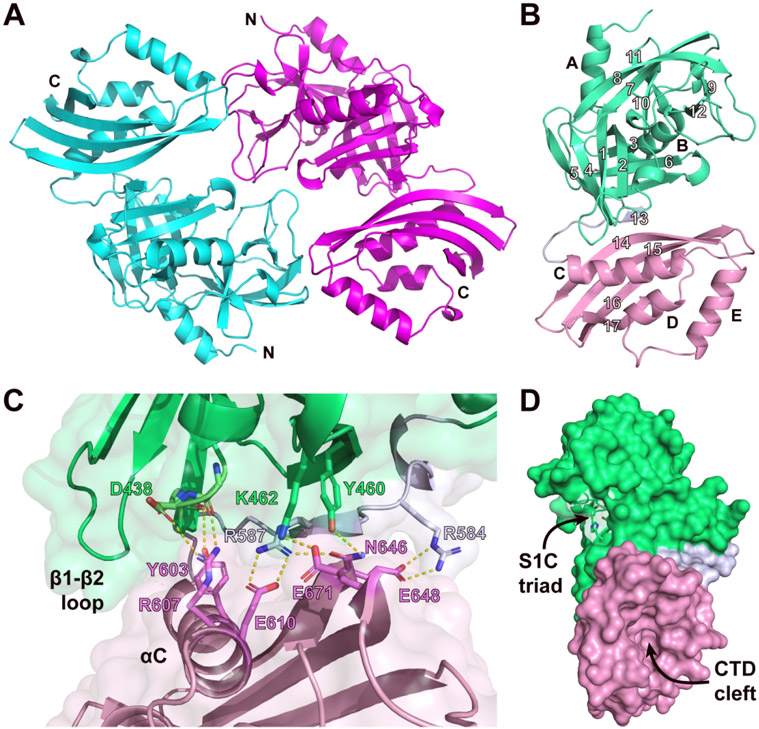 Figure 2.